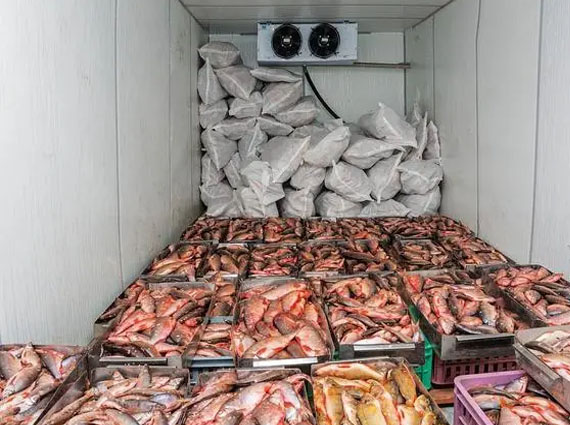 Efficient-Cold-Room-for-Fish-Storage