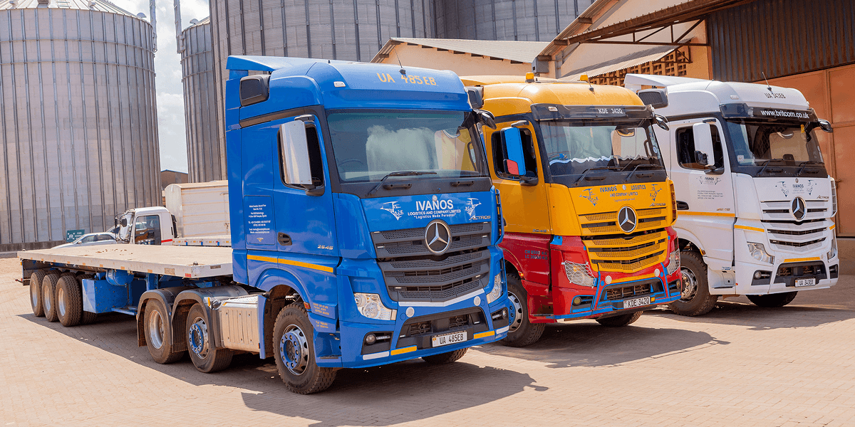 Bulk Transport